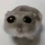 SchoolProjects/Hello